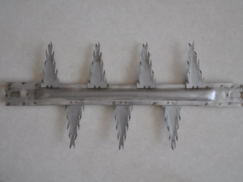 Eight-toothed thorn line